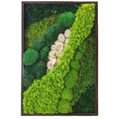 China Reindeer Stabilized by Durable Green Moss Preserved Moss Wall Office Wall Decor Moss Factory Supply for sale