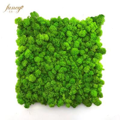 China Environmental Luxury Decorative Wall Art Moss Stabilized Preserved Moss Panel Office Home Airport Green Plant for sale