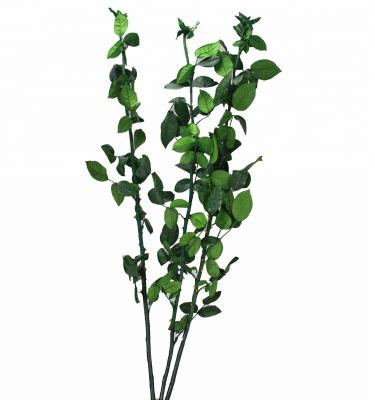 China Flower Arrangement Preserved Flowers In Glass Stabilized Plants Preserved Rose Stem for sale