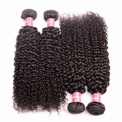 China Curly Curly Brazilian Virgin Hair Virgin Hair cuticle lined hair bundles natura brazil virgin hair wholesale price seller for sale