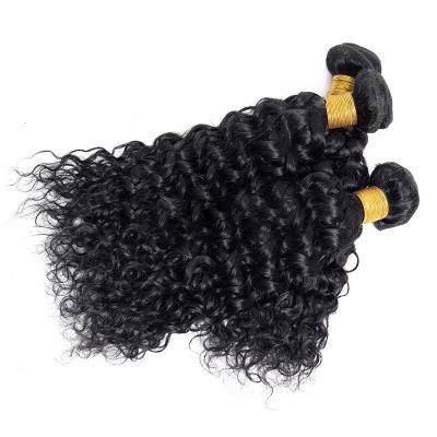 China Water Wave 10A Grade 10 Remy To Curly 30inches Curly 100gram Mini Curly Natural Black Brazilian Water Wave Hair Bundles for sale