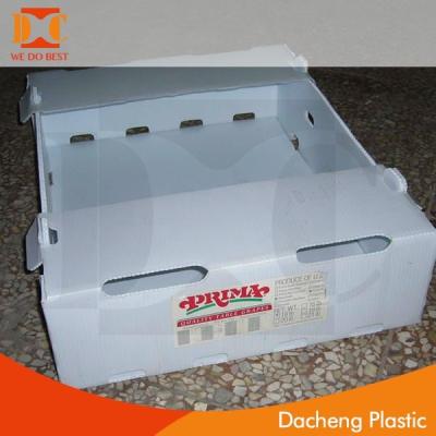 China Recycled materials pp material celtuce corrugated box for sale