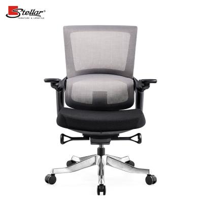 China (Height)Adjustable Mesh Fabric Office Chairs Mid Manager Office Chair With Adjustable Lumbar Suport for sale