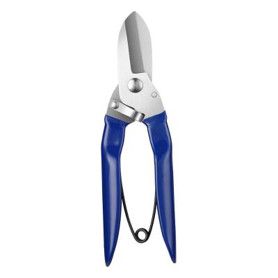 China Anti-Slip Grip Hot Sale Wholesale Electrician Scissors With PE Handle Straight Blade Garden Pruning Shear Scissors Grafting Clippers for sale