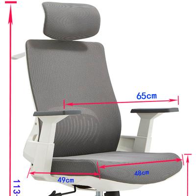 China Other Luxury Executive Ergonomic Office Chair For Home Office High Back Mesh Office Chair for sale