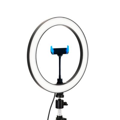 China Photogrphy's Best 10 Inch Ring Light for TikTok YouTube Photographic Lamp 5500K RA95 for sale