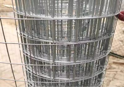 China Aquaculture Stainless Steel Welded Wire Mesh 30M Length 0.5m-2m Excellent Corrosion Resistance for sale