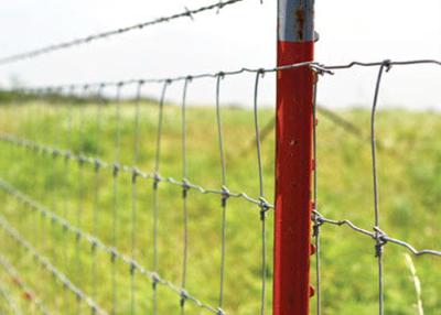 China Hot Dipped Galvanized Welded Wire Deer Fence 3ft-8ft Height With Corrosion Resistance for sale