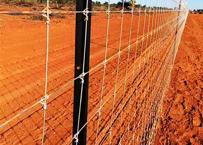 China Galvanisierter Graslanddrahtzaun Rinder / Schafe / Feld / Hirschfarmzaun zu verkaufen