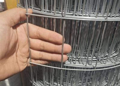 China Galvanized Welded Iron Wire Mesh Panels Square Holes Corrosion Resistant for Protection and Decoration. for sale