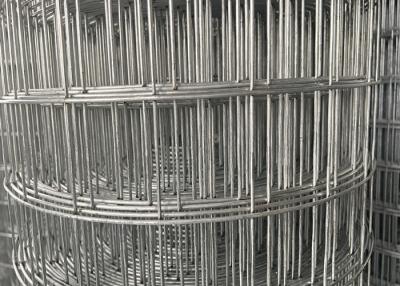 China Free Sample Galvanized Welded Wire Mesh Roll For Protection And Decoration for sale