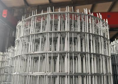 China 2'' Hot Dipped Galvanised Welded Wire Mesh With 120g/M2 Zinc Coating for sale