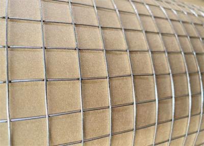 China 1 Inch Electro Galvanized Welded Wire Mesh In Long Hole Shape For Hardware Cloth for sale