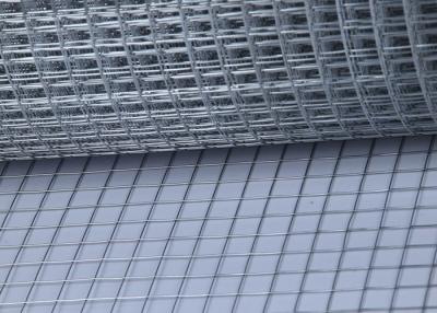 China 1/2 Inch Electric Galvanized Welded Wire Mesh For Hardware Cloth for sale