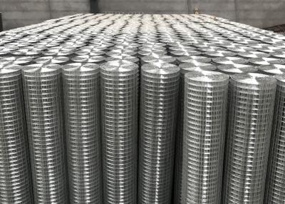 China Superfície lisa Prata Electro Galvanizado Welded Wire Mesh Rolls 10-15g Revestimento de zinco à venda