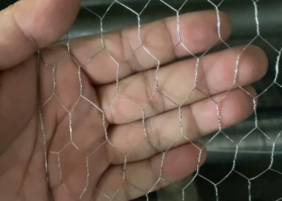 China Galvanized Chicken Coop Hexagonal Wire Mesh Free Sample Garden Protection for sale