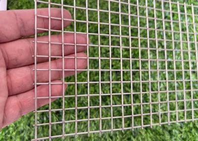 China 1/4'' 1/2'' Wide Stainless Steel Welded Mesh Screen Rolls with Square Hole for sale