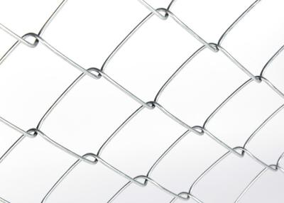 China 1.2mm Chicken Wire Mesh Fence Industrial Commercial Residential General Purpose All Scene Applicable for sale