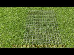 Hot Dipped Rectangular Welded Wire Mesh For Rabbit Proofing Agriculture Farm Fencing