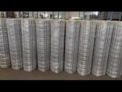 Galvanized Iron Wire Farm Mesh Fence Silver Color With Hot Dipped Zinc Coating For Easy Installation