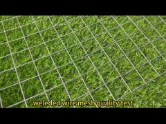 Customizable Green PVC Coated Welded Wire Mesh Rolls Low Carbon Steel Q195 Free Samples