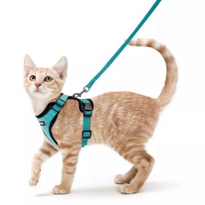 China Paw Dog Harness No Pull Easy Stocked Walk For Dog Vest for sale