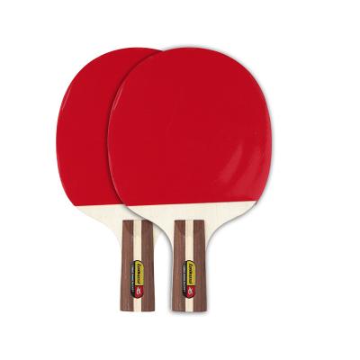 China Portable Poplar Ping Pong Paddle Ping Pong Bats Professional 5 Layer Table Tennis Racket Penhold Poplar Handle for sale