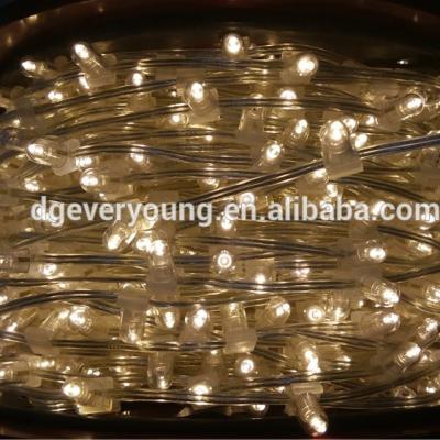 China String Type CE ROHS Listed Outdoor Christmas Decoration 12v Led Fairy Lights String Fairy Light LED Clip Light For Wedding Party Decoration for sale