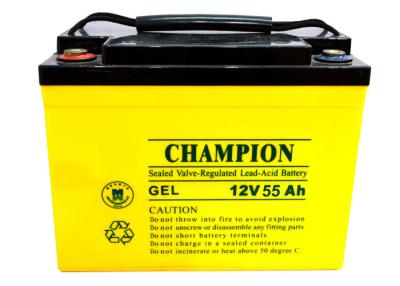 China China Champion Deep Cycle Battery 12V55AH NP55-12-G Sealed Lead Acid Solar GEL Battery for sale