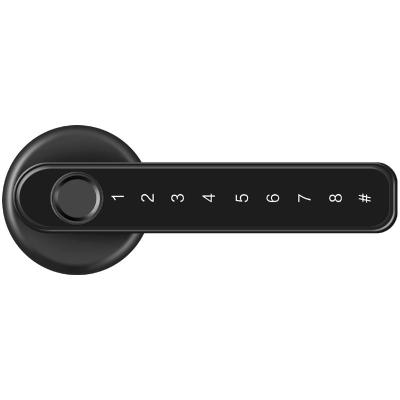 China Interior Bedroom Door Locstar Lock Single Password TTlock Bedroom Door Tuya Lock Biometric Fingerprint Smart Lock for sale