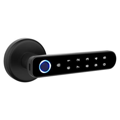 China TTlock Bedroom Door Fingerprint Smart Interior Lock Bedroom Door/Interior Lock Simple Password Card Interior Door for sale