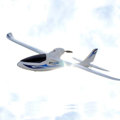 China Lanyu Hobby 2.4Ghz 6CH ASW28 RC Model Glider 2.6M Wingspan Unibody Design RC Airplane Hobby Toys For Sale for sale