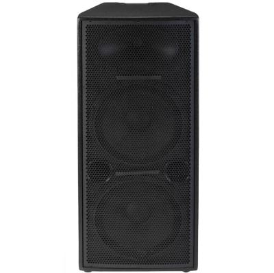 China 3 Way Dual Speaker 15inch Stage Disco Speaker DELTA X215 DELTA X215 for sale