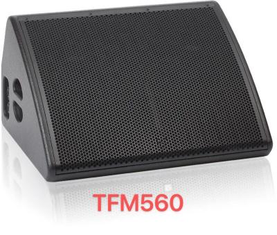 China 18mm Plywood Stage 12inch Dual Monitor Speaker Neodymium Speaker TFM560 for sale