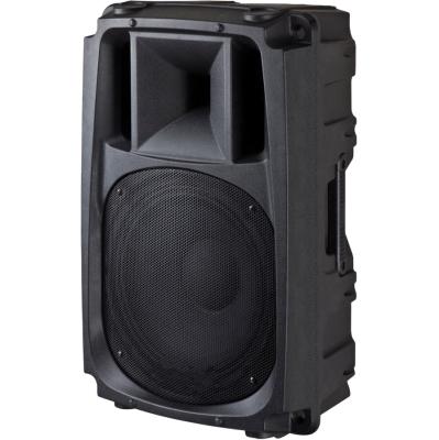 China No Full Range Plastic Speaker 15 Inch Large Lightweight Portable Sound Part for sale