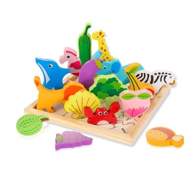 China Early Education Montessori Learning Toy 3D Multi-Theme Animals Fruits Food Wooden Puzzles Puzzles For Kids for sale