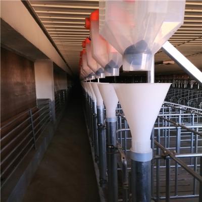 China Automatic Feeding System Automatic Feeding System Plastic Tube For Feeds Gestation Stalls Use Pig Farm Feeding Equipment for sale