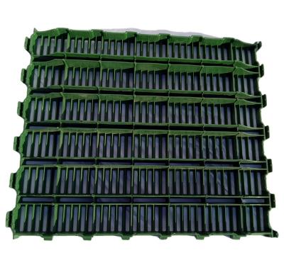 China Pig House Floor Pig Farm Flooring Pig Slat Flooring 600*700mm Green Plastic Slat Floor Pigsty Slat Flooring for sale