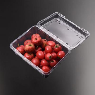 China 500g Recyclable PET RPET Grape Blueberry Tomato Storage Container Clear Clamshell Plastic Clear Blister Custom Fruit Packing Box for sale