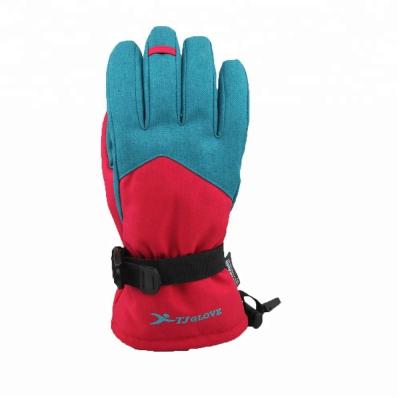 China Winter Women's Primaloft Thinsulate Ski Gloves Snowboard Warmly zu verkaufen