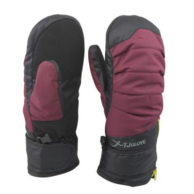 Chine Custom Waterpoof Winter Warm Keeping Waterproof Windproof Adult Ski Mittens à vendre