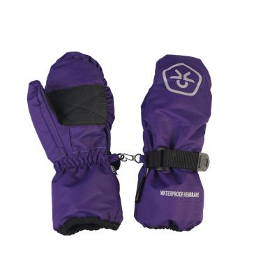 China Fashion Warm Breathable Design Fan-Tex Mittens Waterproof Winter Ski Gloves for sale