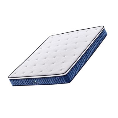 China Foldable Hot Selling High Bounce Double Pack Pillow Roll Top Spring Mattress for sale