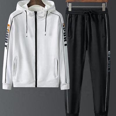 China Viable Hot Selling Design Hooded Sports 2-Piece Set Sportswear Jogging Slim Fit Autumn Men's Suit Suit for sale