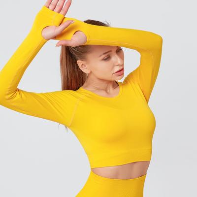 China 2020 Women Breathable Seamless Gym Wear Long Sleeves Yoga Tops Workout Shirts for sale