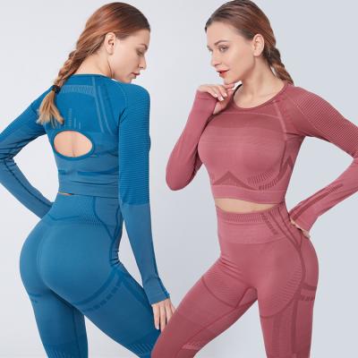 China OEM Breathable Seamless Fitness Long Sleeve Crop Top Compression Shirt For Women for sale