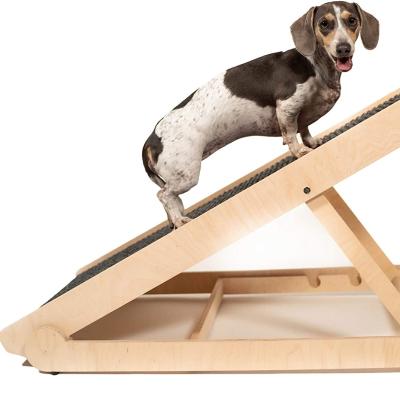 China Sustainable Pet Speed ​​Travel Lite Ramp with supertraX surface for maximum traction, 4 models to choose from for sale