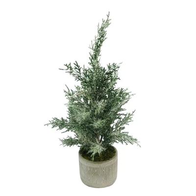 China New EPS Style Mini Tabletop Christmas Tree Good Quality Factory OEM For Home Indoor Outdoor Decoration for sale