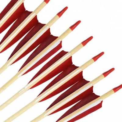 China Bow Hunting Archery TIR Wooden Arrows for Traditional Archery for sale