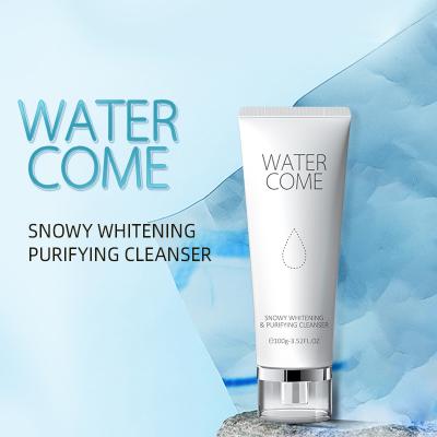 China wholesale Anti Wrinkle Skin Care Product Facial Cleanser Whitening Anti Aging Organic Facial Cleanser For Dry Skin for sale